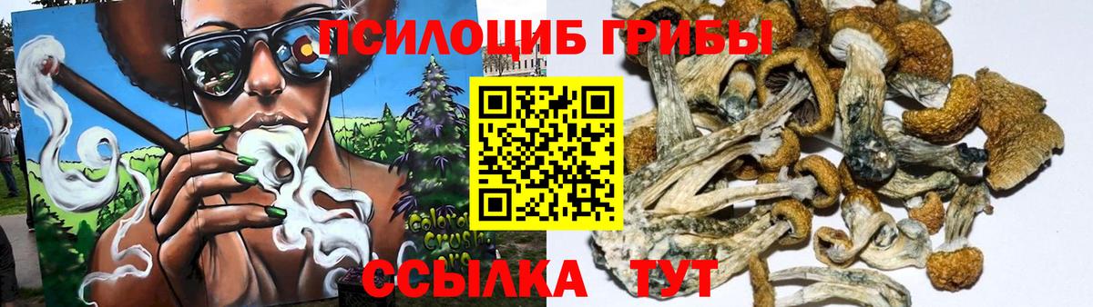 купить   Вход с VPN  Псилоцибиновые грибы мухоморы  Благовещенск  Псилоцибиновые грибы ЛСД 